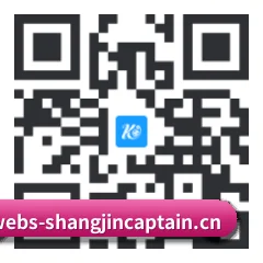 iPadOS & iOS 版 二维码